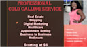 be your professional cold caller making phone calls to US and canada