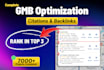 optimize your google business profile for local SEO and maps ranking