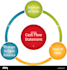 cashflow, balance sheet, profit and loss, bookkeeping ,reporting