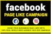 create a facebook ad campaign to grow your page likes
