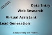 do data entry, data management, and data collection