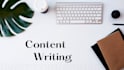 write article, blog post, content for website and social media