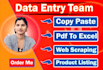support you any kind of data entry service with my team