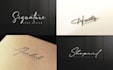 design high quality signature, handwritten, script logo design