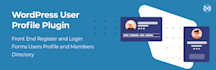 develop professional business website