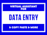 data entry on excel and google sheets