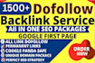 provide do follow quality SEO backlinks service