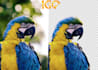 photos background removal and crop image