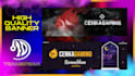 design your teamspeak server banner and icons, discord