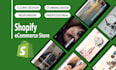 build shopify dropshipping store or shopify website design