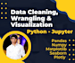 clean and analyze data using python libraries