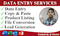do data entry, copy paste, web research, lead generation, and excel data entry
