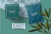 develop for you a powerfull visual identity