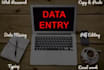 do data entry and scraping in one day