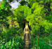 send nature beauty photos supper fast