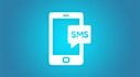 provide SMS broadcasting service and smpp, API based route