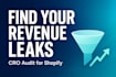 perform data driven cro audit to find your revenue leaks