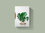 create a book cover