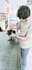 write the well researched veterinary articles and veterinary blogs as a vet