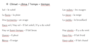 translate texts or audios into french