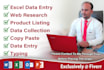 do copy paste, data entry, excel entry, product listing