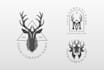 create an animal logo design