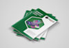 design a stunning company profile, booklet, catalog