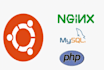 fix cpanel, apache2,nginx,PHP and mysql and install SSL