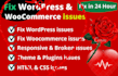 fix your word press website issue