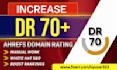 increase permanent increase domain rating of your site