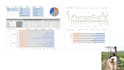 do interactive analytical dashboards, graphs with ms excel