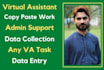 be your personal administrative virtual assistant data entry
