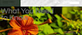 create website logo and poster if you need