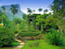 write SEO content and guides on medicinal and herbal plants