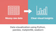 do data visualization using python,pandas,matplotlib,seaborn