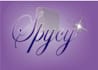 copy write for radio and audio visuals