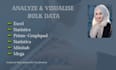do statistical data analysis using statics, excel, spss, mega, minitab, prism