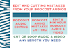professionally edit and mix audio and video with cutting and correction