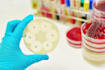 assist you in microbiology, molecular biology and genetics