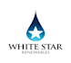 design blue star biofuels logo