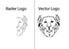 do professional vector tracing or redraw or vectorize any logo image or sketch
