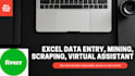make data entry, web research ,scraping, excel and virtual assistance