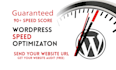 do wordpress speed optimization to 90 on google page speed
