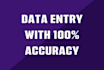 do fast data entry in one day, internet search