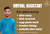 do fastest   data entry  web research and copy paste