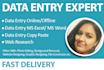 do data entry  on softwares and microsoft excel