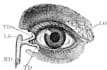 create your tattoo design