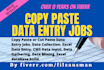 be your virtual assistant for data entry and data handling