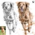 draw your animals and pets in my scribble art style