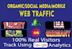 provide USA germany brazil turkey organic traffic